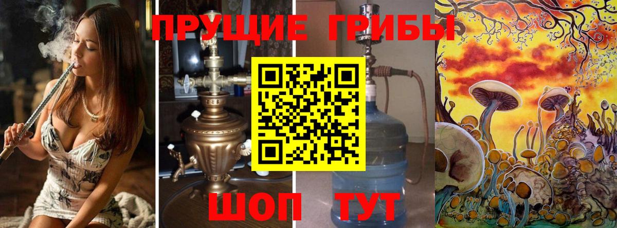 Галлюциногенные грибы Cubensis Мценск