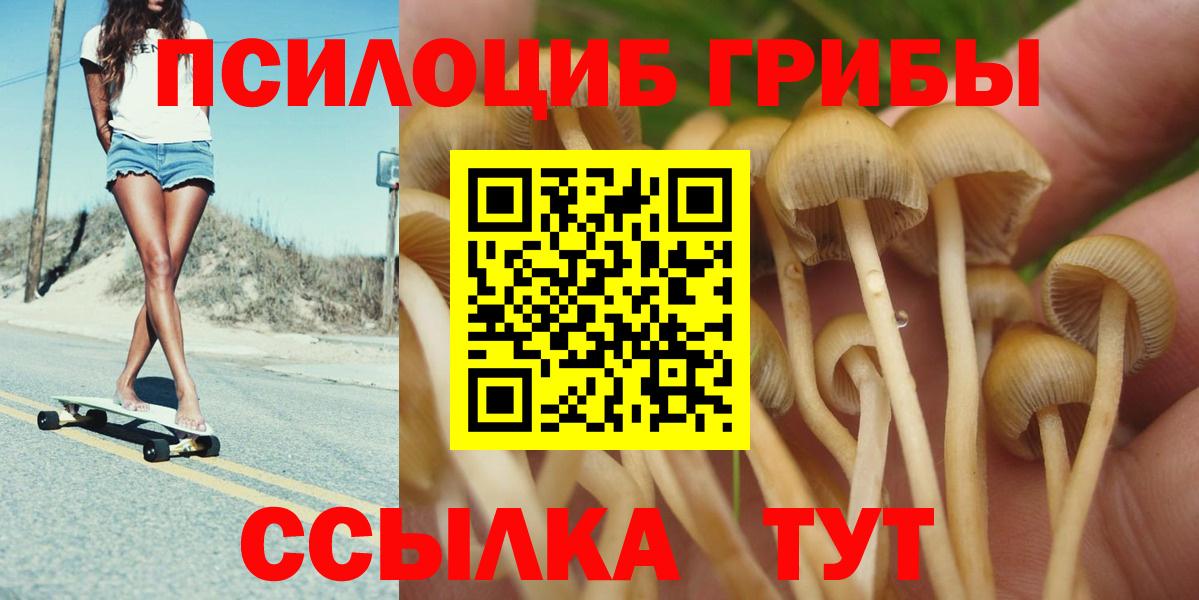 Псилоцибиновые грибы Magic Shrooms  наркотики  Вход с VPN  Мценск  Галлюциногенные грибы MAGIC MUSHROOMS 